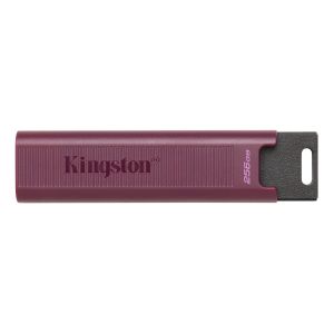 Kingston USB MEMORIJA DataTraveler Max 256GB DTMAXA/256GB