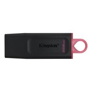 Kingston USB MEMORIJA DTX/256GB